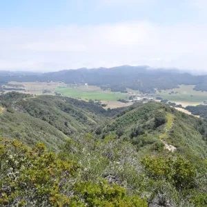 Garden field trip to Indian Knob, San Luis Obispo county