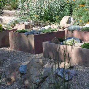 Trough garden in Meadow View