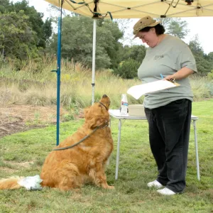 Trails n Tails 2012