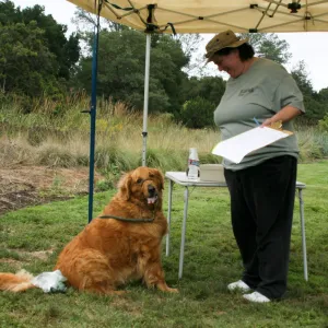 Trails n Tails 2012