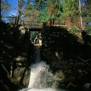 Waterfall at historic Mission Dam, SBBG Photo Contest 2013
