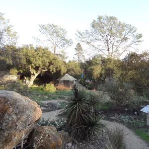 Desert Section, view to Entrance Kiosk, Spring in the Garden, February 2013, SBBG