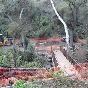 Campbell Bridge construction, Mission Creek, Spring in the Garden, February 2013, SBBG
