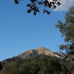 view to La Cumbre Peak, Spring in the Garden, February 2013, SBBG