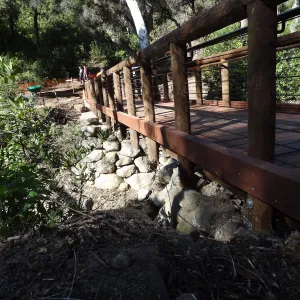 new Campbell Bridge, Mission Canyon, Spring in the Garden, February 2013, SBBG