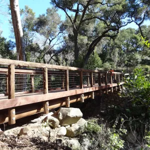 new Campbell Bridge, Mission Canyon, Spring in the Garden, February 2013, SBBG