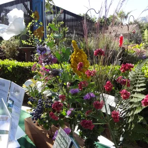 SBBG hosts Santa Barbara Chamber of Commerce Mixer, June 2013, floral arrangement