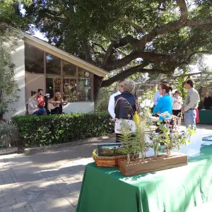 SBBG hosts Santa Barbara Chamber of Commerce Mixer, June 2013, musicians