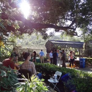SBBG hosts Santa Barbara Chamber of Commerce Mixer, June 2013