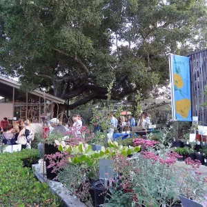 SBBG hosts Santa Barbara Chamber of Commerce Mixer, June 2013, Garden Growers Nursery