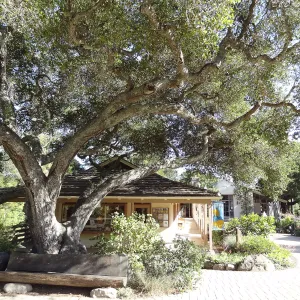 Garden Shop, wood bench, entrance oak