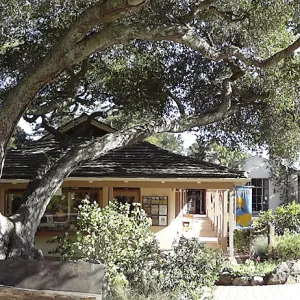 Garden Entrance panorama, Garden Shop, wood bench, entrance oak