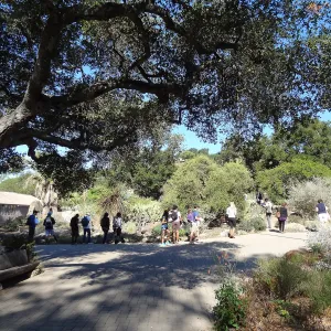 Visiting school group, at Garden Entrance and Desert Section
