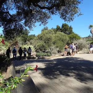 Visiting school group, at Garden Entrance and Desert Section
