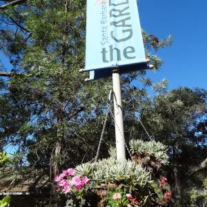 SBBG sign and hanging basket