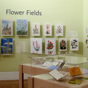 Art by Henry Mockel (on wall, center) on loan from SBBG Blaksley Library, When They Were Wild, Art Exhibition, March 9 to July 8, 2013