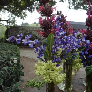 floral arrangements of Garden wildflowers for the SBBG Members Picnic