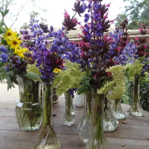 floral arrangements of Garden wildflowers for the SBBG Members Picnic