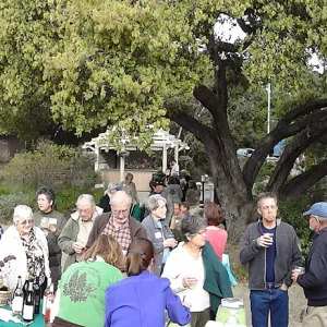 at the SBBG Members Picnic 2013, panorama