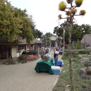 at the SBBG Members Picnic 2013