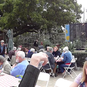at the SBBG Members Picnic 2013, panorama