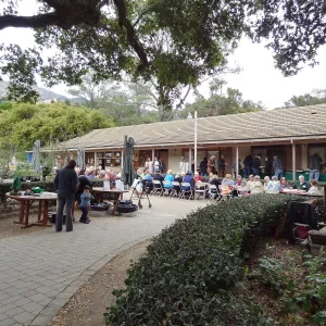 at the SBBG Members Picnic 2013