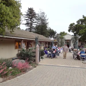 at the SBBG Members Picnic 2013