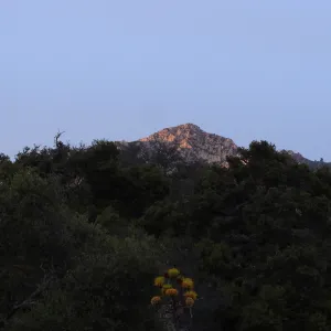 Arlington Peak at sunset
