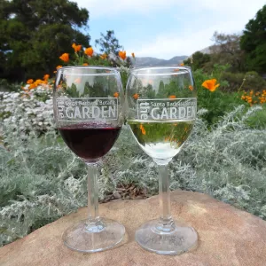 Garden wine glasses in the Meadow, reflection, wildflowers, sandstone boulder