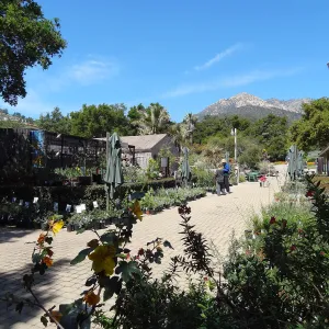 Spring Plant Sale