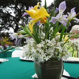 Volunteer Recognition event 2013, floral arrangements with wildflowers from the Garden