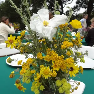 Volunteer Recognition event 2013, floral arrangements with wildflowers from the Garden