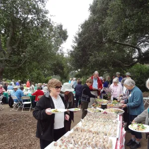 Volunteer Recognition event 2013, buffet table