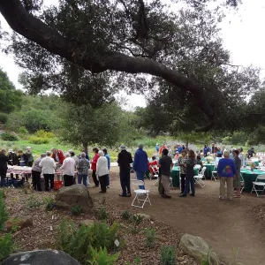 Volunteer Recognition event 2013, buffet table