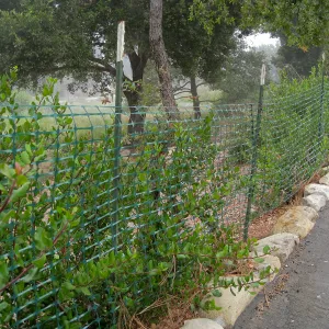 Temporary fencing along parking lot