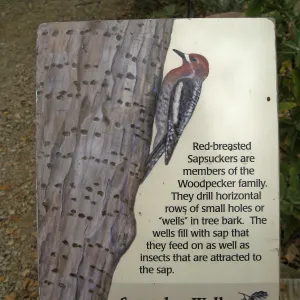 Signage in the Discovery Garden in the Arroyo
