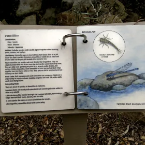 Signage in the Discovery Garden in the Arroyo