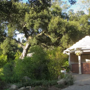 Garden entrance