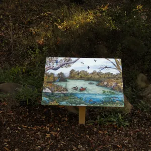 Discovery Garden sign, SBBG