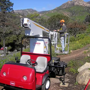 New cherry picker lift from 2009 Stanley Smith Grant