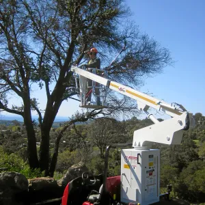 New cherry picker lift from 2009 Stanley Smith Grant
