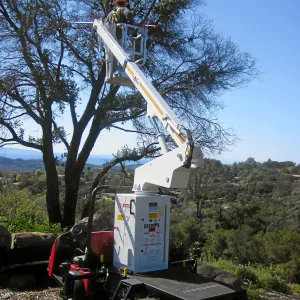 New cherry picker lift from 2009 Stanley Smith Grant