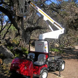 New cherry picker lift from 2009 Stanley Smith Grant