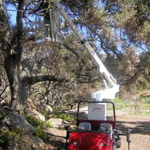New cherry picker lift from 2009 Stanley Smith Grant