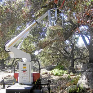 New cherry picker lift from 2009 Stanley Smith Grant
