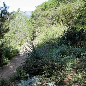 Porter Trail, North Switchback, North