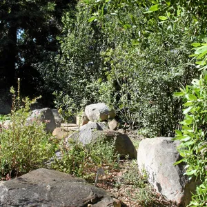 Brook, across dispaly southwest