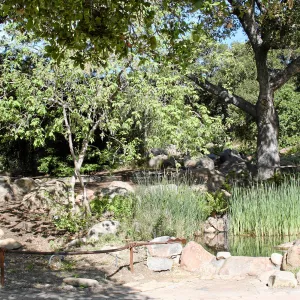Meadow, Pond from main path, northwest