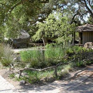 Meadow, Main path over pond, south