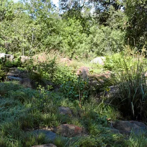 Brook over display, west
